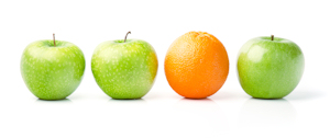 Fresh Orange Among Green Apples, Isolated on White